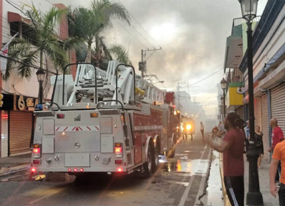 61D95FD3 72BA 4200 915C 8FA20DB803AB