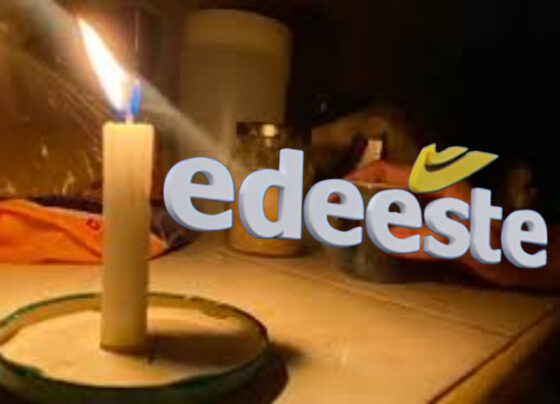 5990F156 5E08 4FD1 A8DA 4D28B20900D1