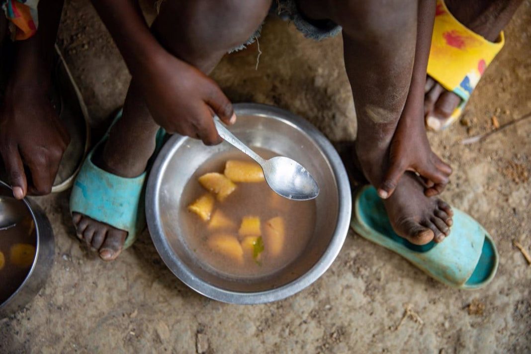 FAO pide financiación urgente para asistir a unos 608.000 haitianos y evitar el hambre