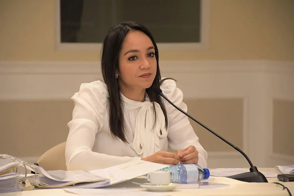Faride Raful tomará acciones legales por campaña "Sucia" en su contra 1 img 3207