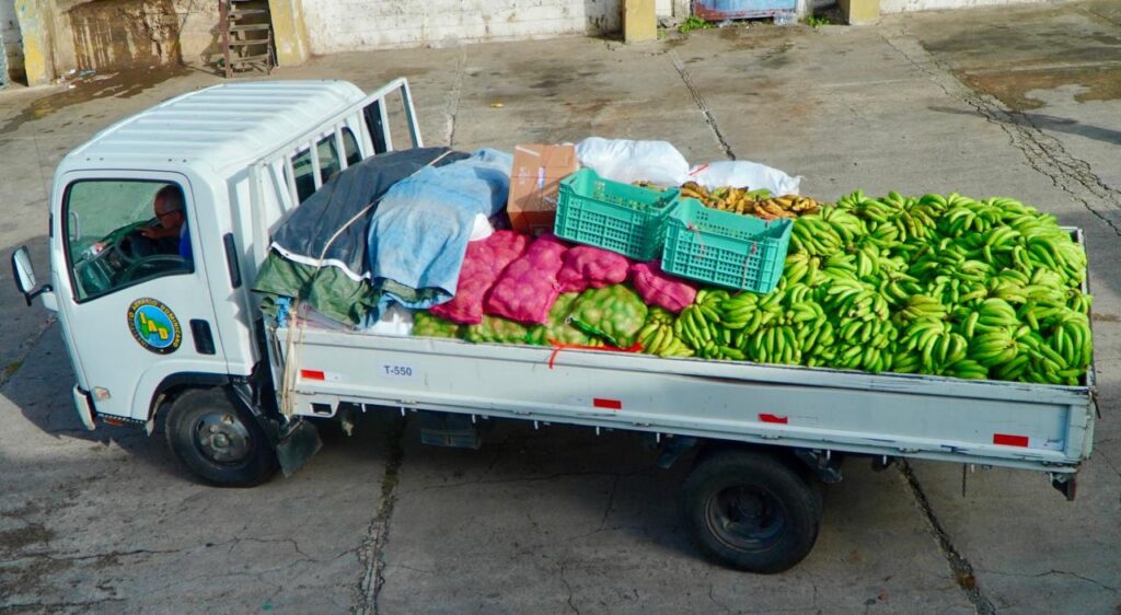 Inespre anuncia la “Ruta Caravana con Guineo a Peso” 1 img 6228 1