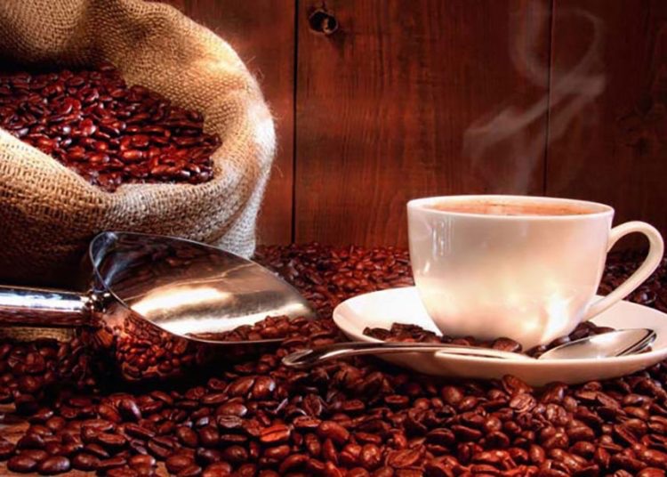 Café dominicano rompe récords: exportaciones crecen un 106.6% y superan por primera vez a las importaciones 1 img 6406 1