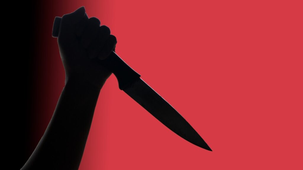 Al menos cuatro mujeres mataron a sus parejas o exparejas en RD en menos de 15 días 1 img 6540 1