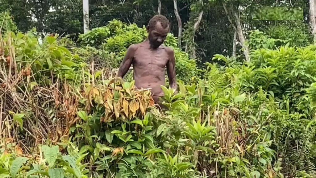 Familia en Hato Mayor pide ayuda para rescatar a hombre que vive aislado en el monte desde hace más de 40 años 2 250d9fa4 74ba 4735 96f0 51bbcb6afb08 1