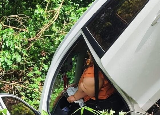 bc9d0e70 b14a 4353 a438 dd7e707bc93b 1