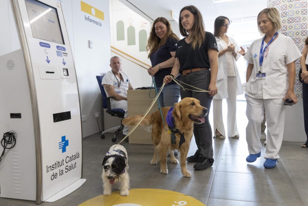 Terapeutas de cuatro patas en España para menores con conductas autolesivas y suicidas 1 img 7914 1