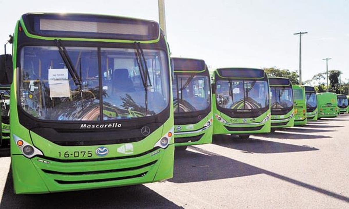 Anuncian la expansión del servicio de la OMSA en Ciudad Juan Bosch