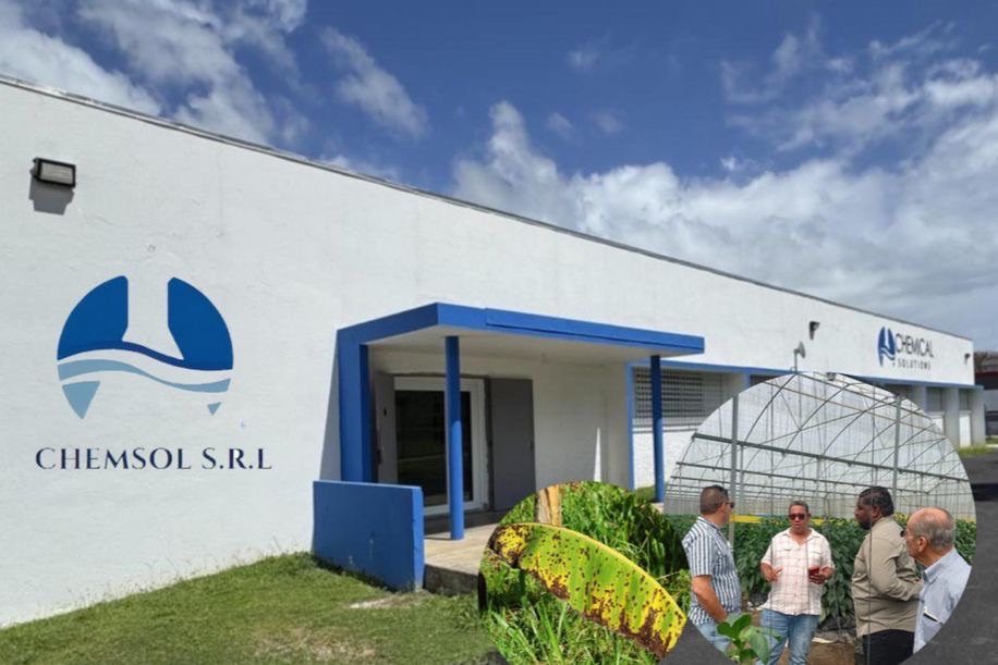 Empresa puertorriqueña CHEMSOL lanza en República Dominicana producto 100% natural que elimina la Sigatoka Negra