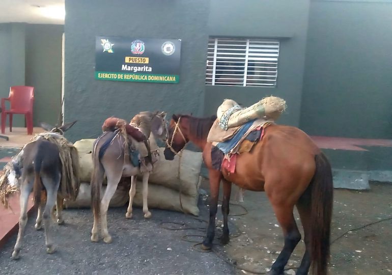 Ocupan sacos de carbón vegetal que eran transportados en animales en Elías Piña