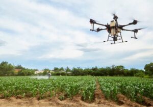 Drones en el cacao: una tecnología que podría ahorrar hasta $12.000 al año 1 img 9854