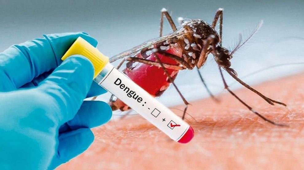 26 de agosto: Día Internacional contra el Dengue 4 img 2569