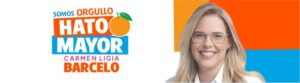 Ministro Joel Santos resalta 40 % de inversión extranjera directa en energía y minería 1 img 2164 3 6