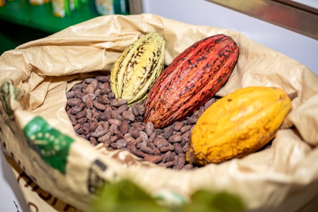 Arranca la semana más dulce del año con el 5to Festival de Chocolate Dominicano 4 img 3732