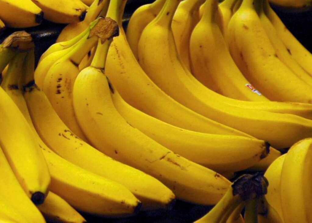 Banano dominicano podría conquistar Rusia y China con productos industrializados 4 img 4588