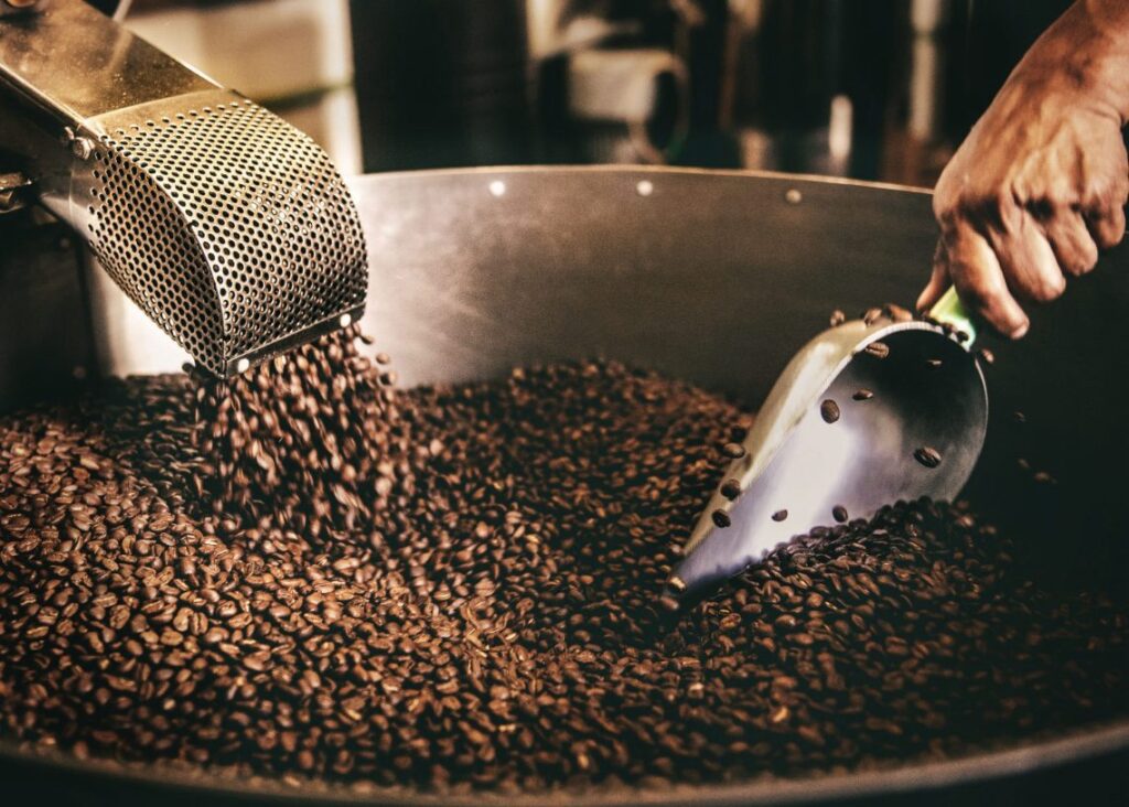 Escasez de mano de obra limita expansión del café dominicano 4 img 4723