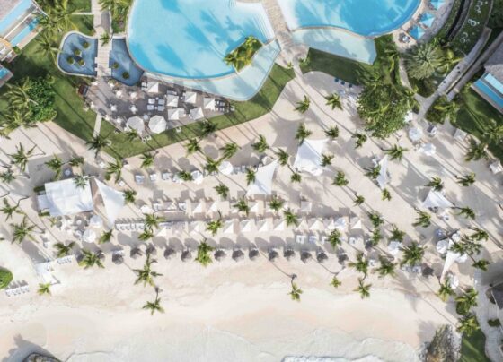 d27336e2 4412 46be 9573 07de66c9a2c3 36095 0000057b489d2120 file