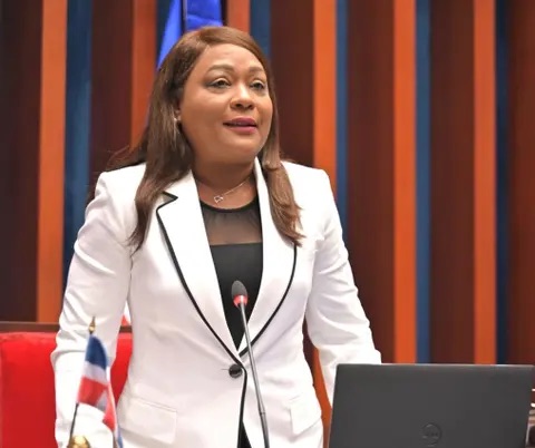Aracelis Villanueva asegura que impulsan aprobación del Ministerio de la Familia en la presente legislatura 1 img 6115