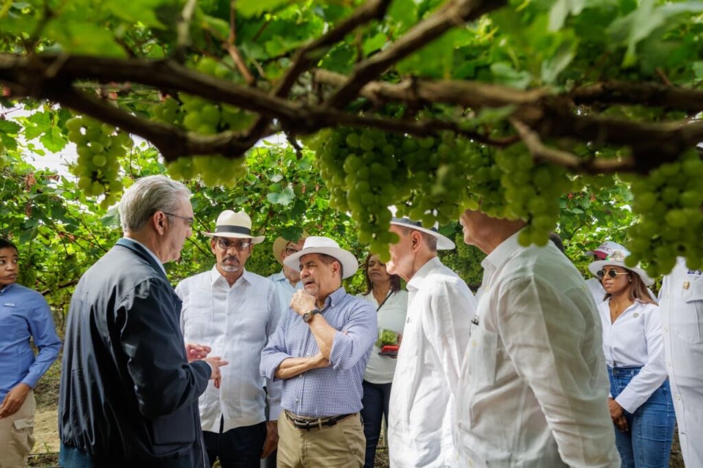 33c6ea75 b14d 45de bd11 13b3e8e1fd96