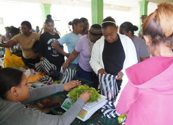 05835e6d 281e 48ef a51b f857c1cfee79