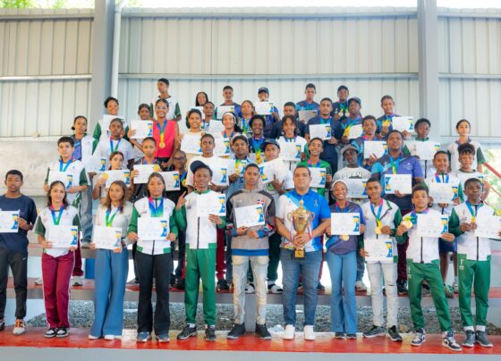 155274b7 3905 4eda b8f8 09ddd900a0e5