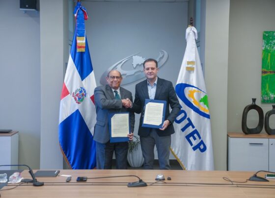 685fbb3f 5c47 4ceb 821a 5fe5b91631ff