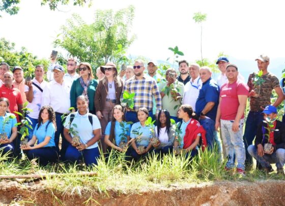 bac89866 1161 42bd 8a3e 733bc56a8b90