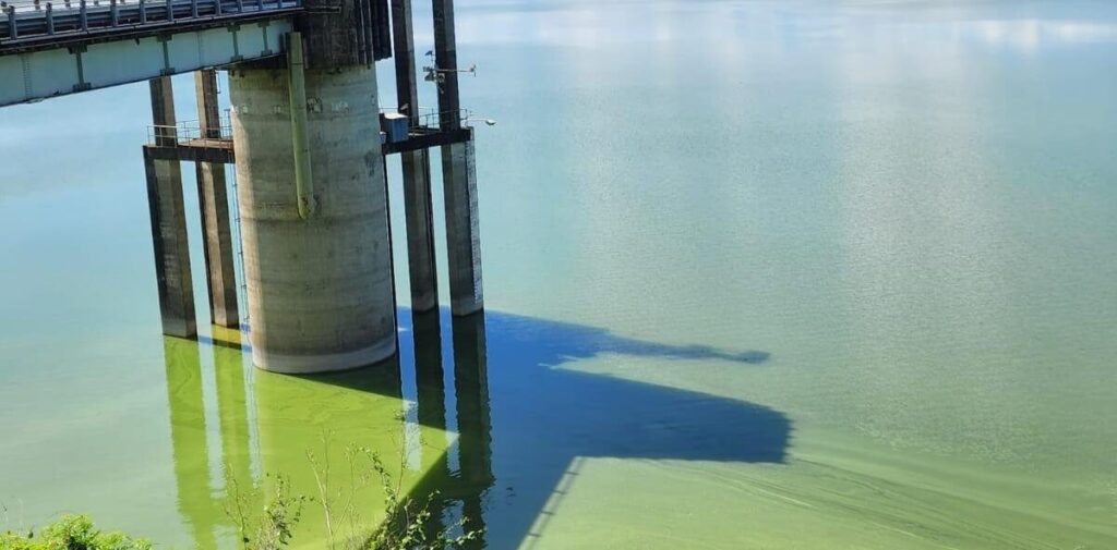 Coloración del agua en presa de Hatillo es causada por floración de algas 1 img 0350