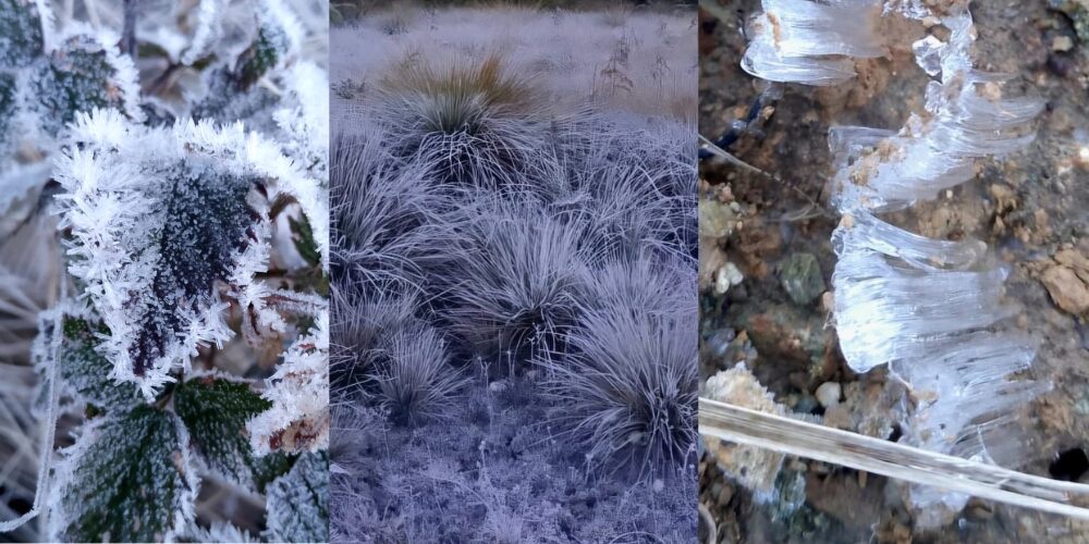 Valle Nuevo registra la primera helada extrema de la temporada frontal 2025-2026