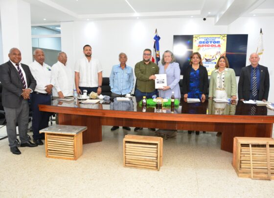 51578063 dd8d 440e 8d29 bac8fe6c5fd7