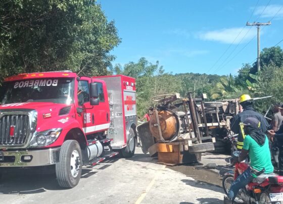 8e06dcd0 e77f 40c9 88f4 0b23346efd88