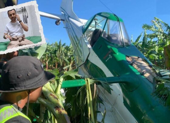 c00e92a0 e786 4c51 b8cf 34f8382fbb0b