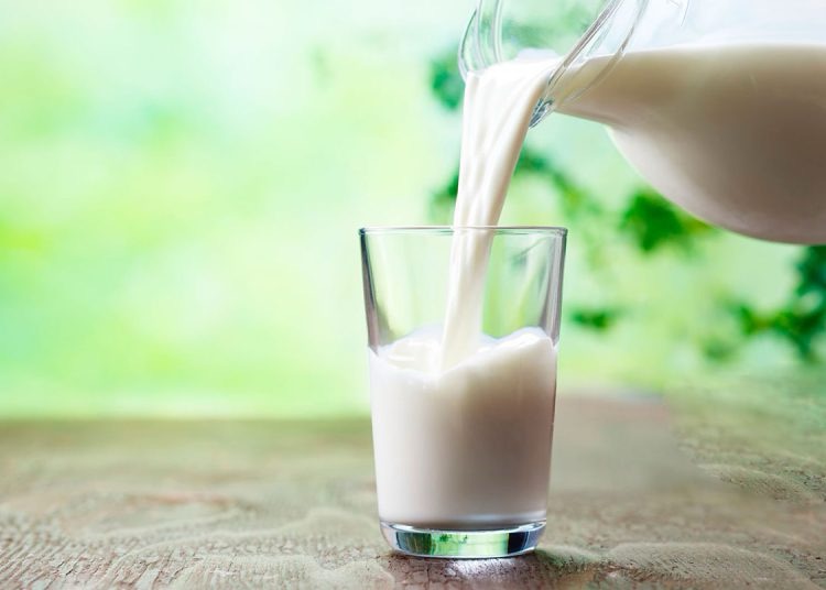 Producción nacional de leche alcanzó 663.1 millones de litros en enero y septiembre de 2025