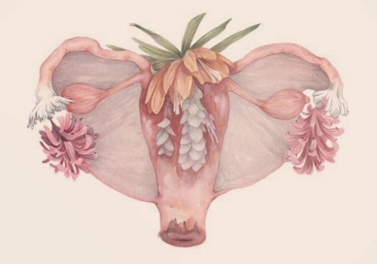 Vapores vaginales: una práctica sin respaldo científico que puede poner en riesgo la salud íntima