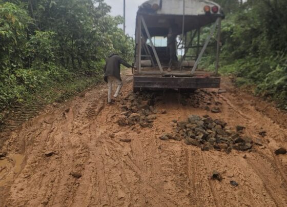 a0f1461d ffce 4986 bf8a 78ba47456b16