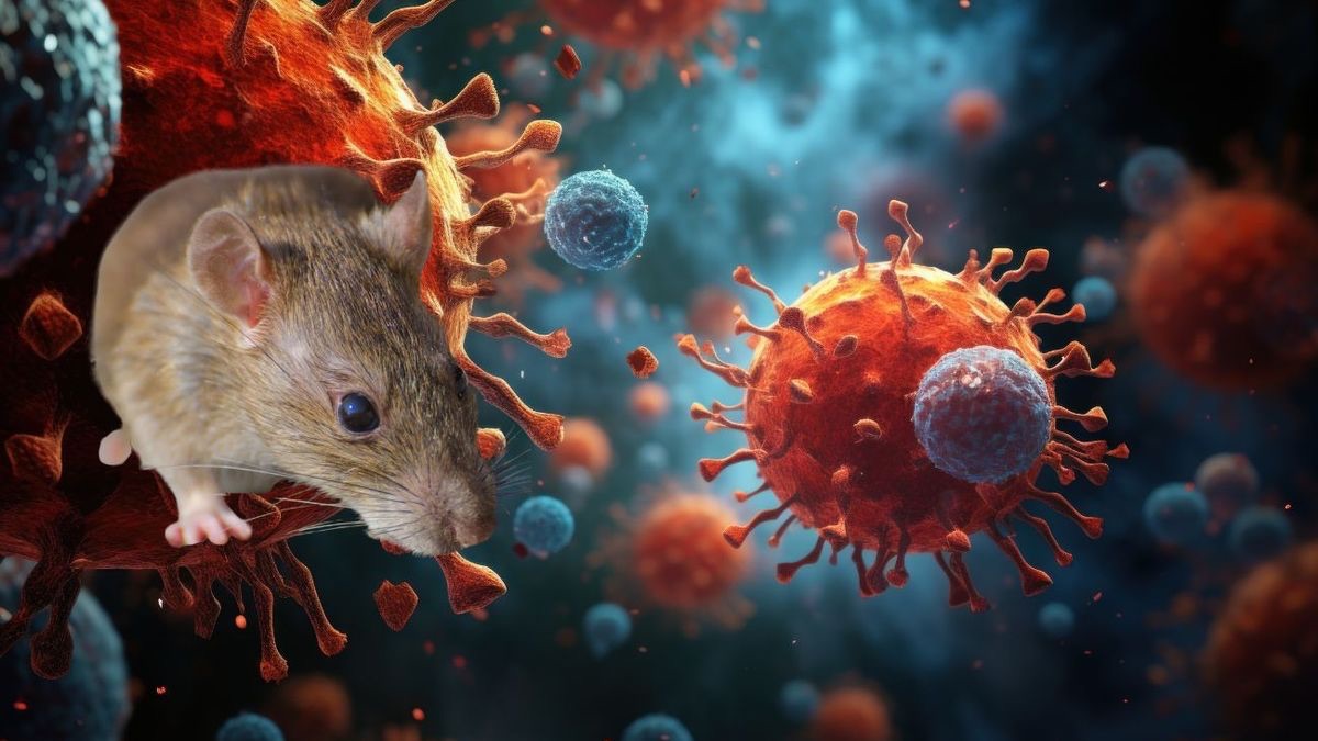 Hantavirus: la OMS confirma 5 casos y mantiene otros 4 como sospechosos