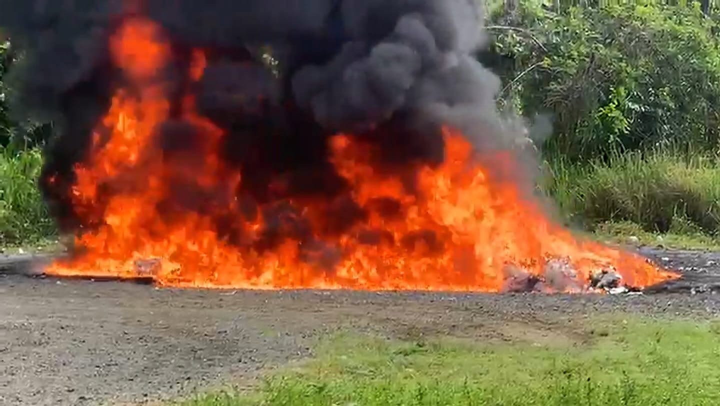 Inacif incinera otro cargamento de más de 1,400 kilos de drogas