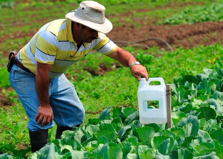 El 35% de financiamientos a la agropecuaria es por líneas de crédito
