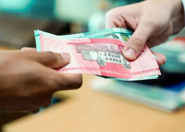 Cotizantes a seguridad social podrían convertir ahorros en cotizaciones para una pensión anticipada