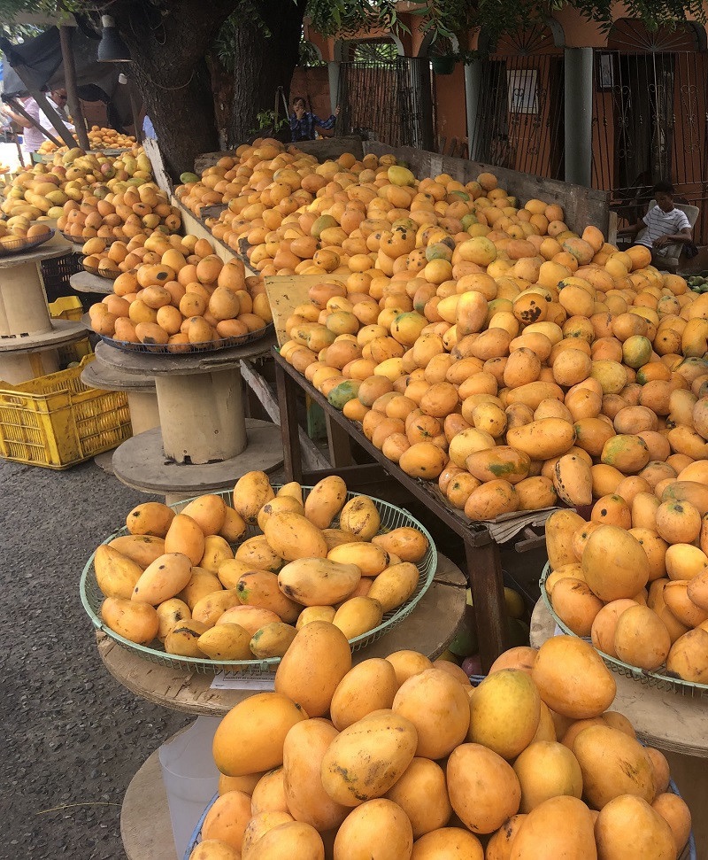 Mango, sabor y cultura: Baní se viste de feria