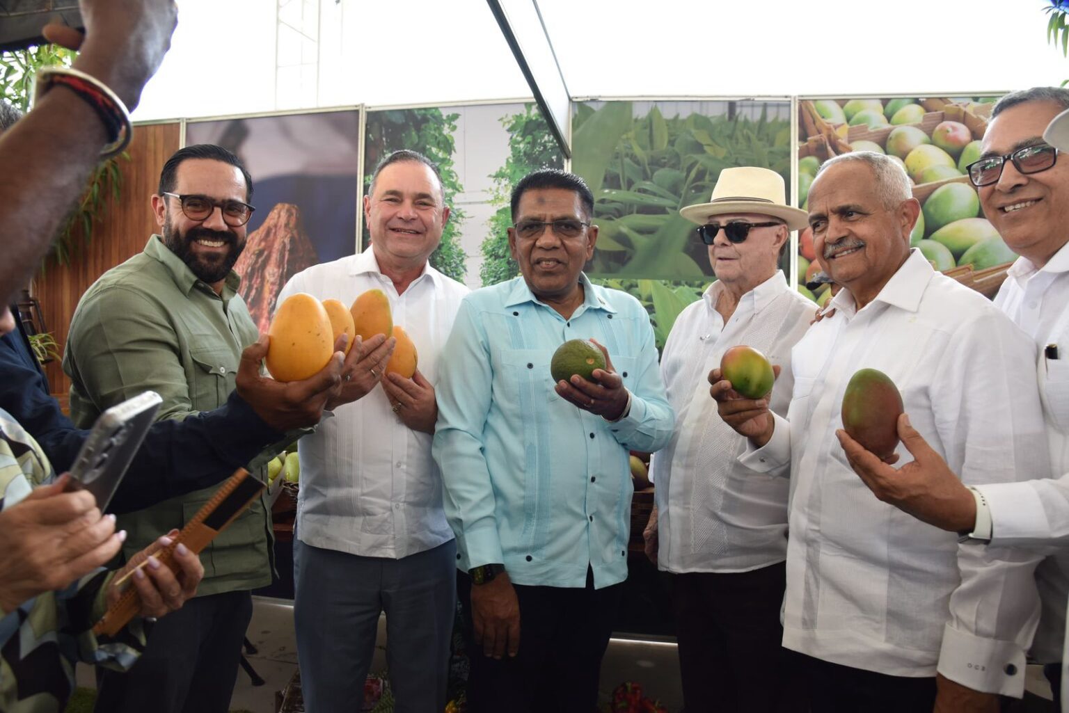 República Dominicana proyecta exportar cerca de 10 millones de cajas de mango en 2026
