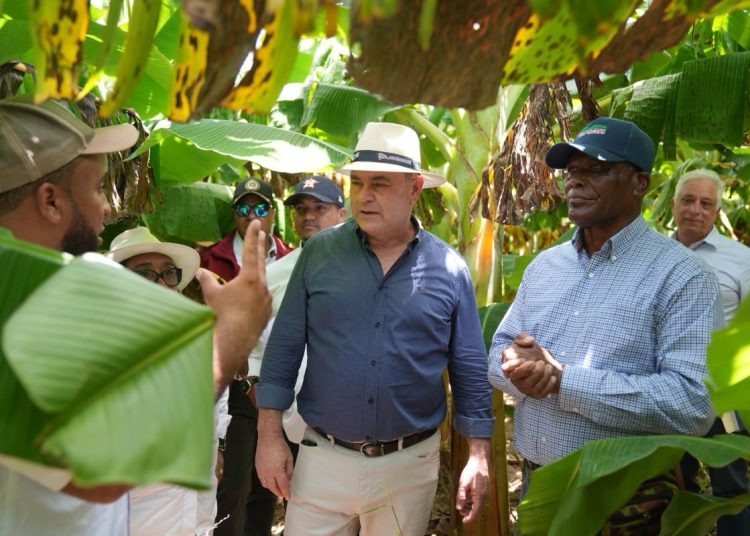 Ministerio de Agricultura busca reactivar el proyecto Prodejav en Pedernales