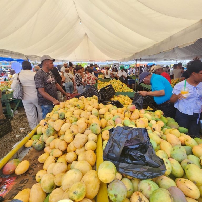 Agricultura se apresura a salvar exportación de mangos hacia Europa y los Estados Unidos