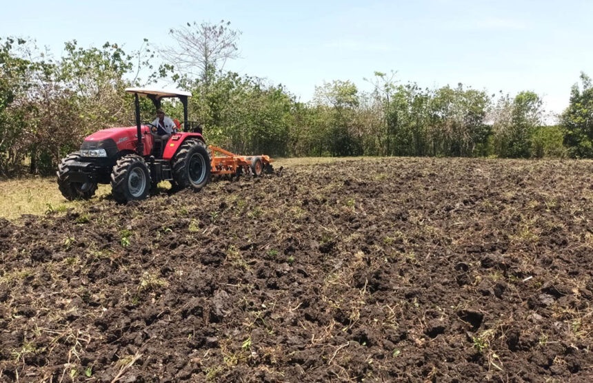 Agricultura presenta Programa Nacional de Mecanización ante escasez de mano de obra