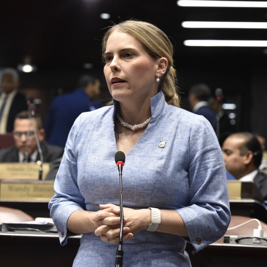 Diputada Carmen Ligia Barceló propone instalar detectores de metales en todas las escuelas del país