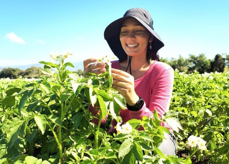 Agricultura beneficia a más de 4,700 mujeres rurales con programas de capacitación y apoyo productivo