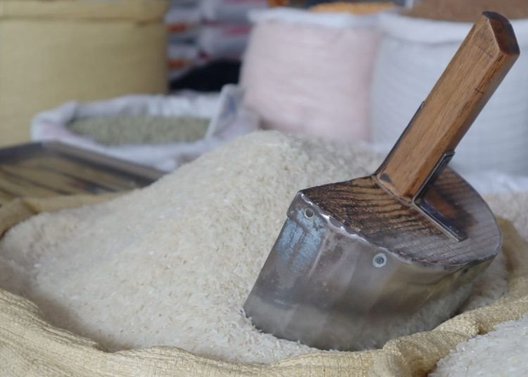 Producir una libra de arroz cuesta entre RD$24 y RD$26, según los arroceros
